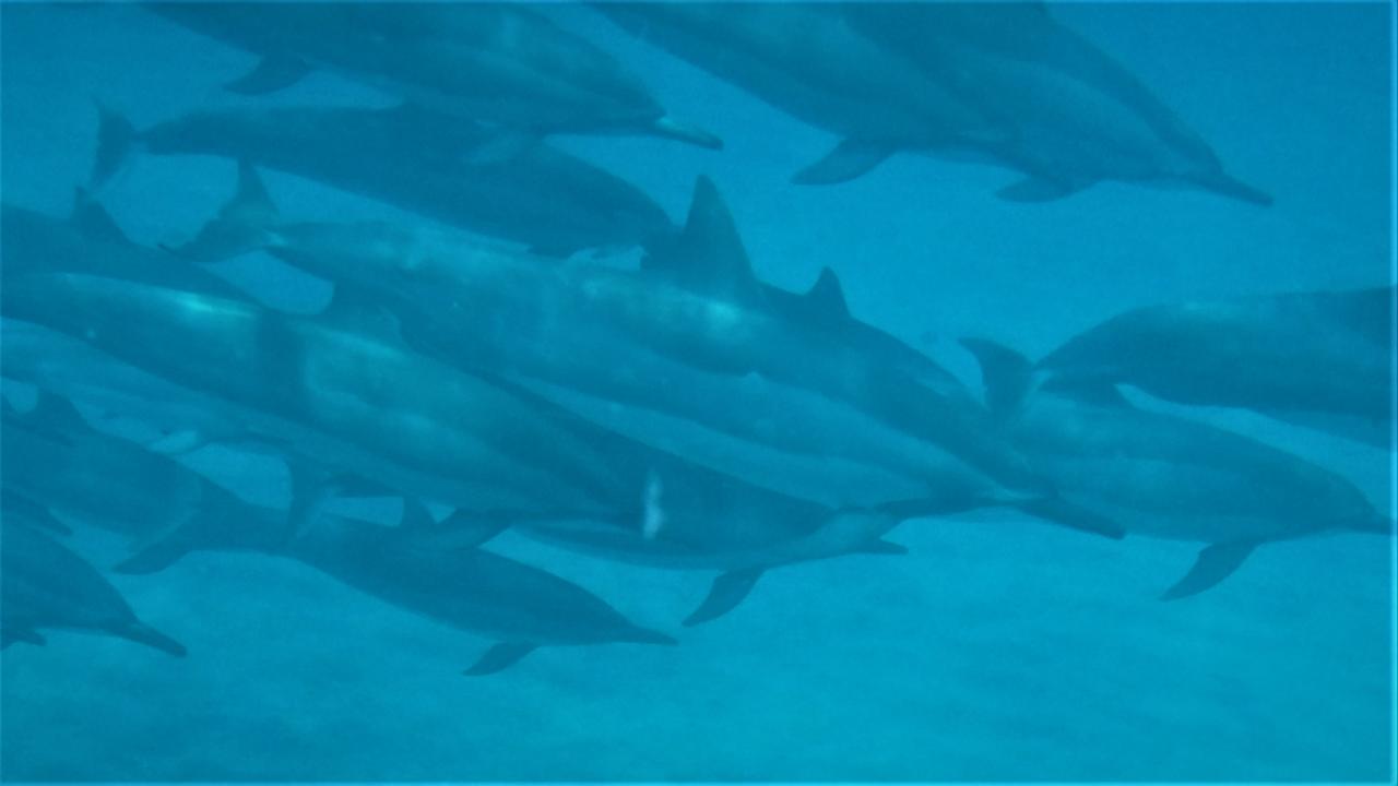 Ocean View Paradise! - thumb 11