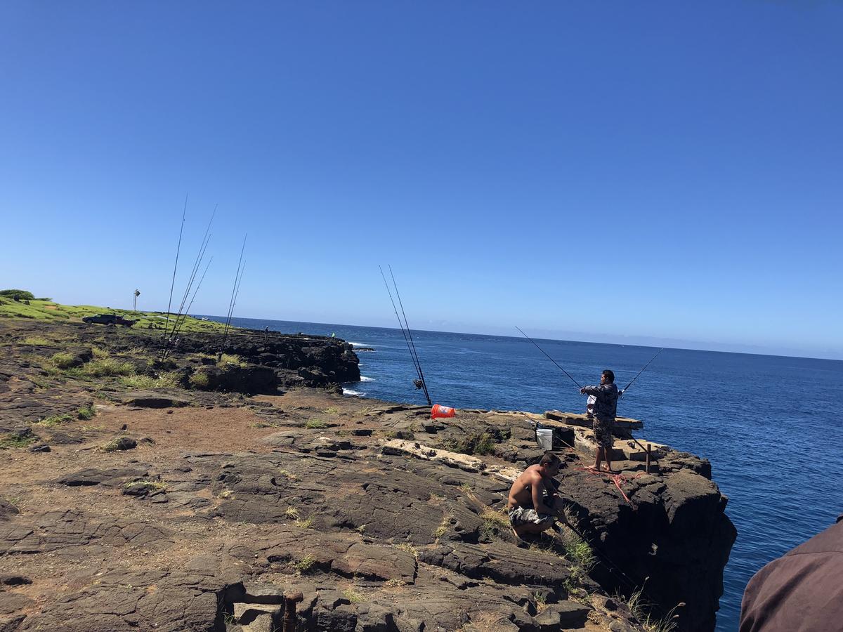 Ocean View Paradise! - thumb 22