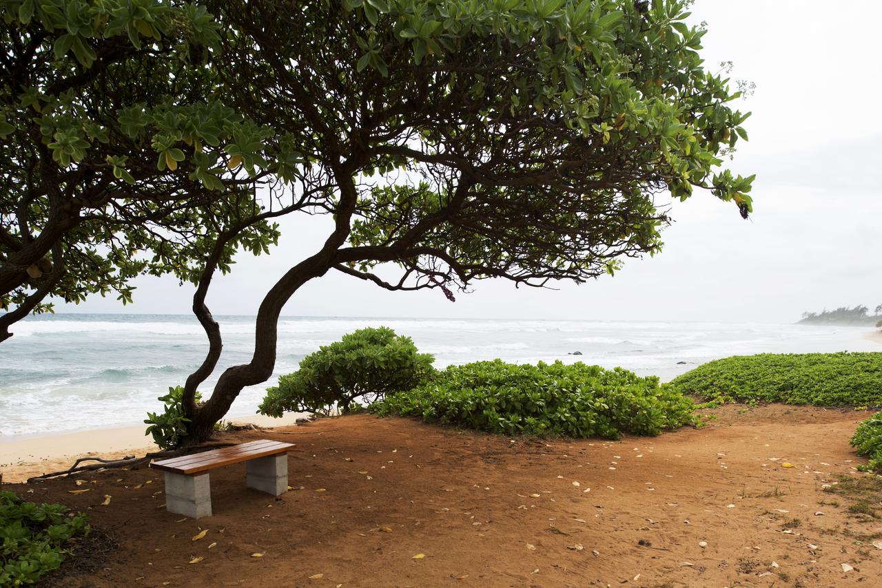 Kauai Beach Villas - thumb 17