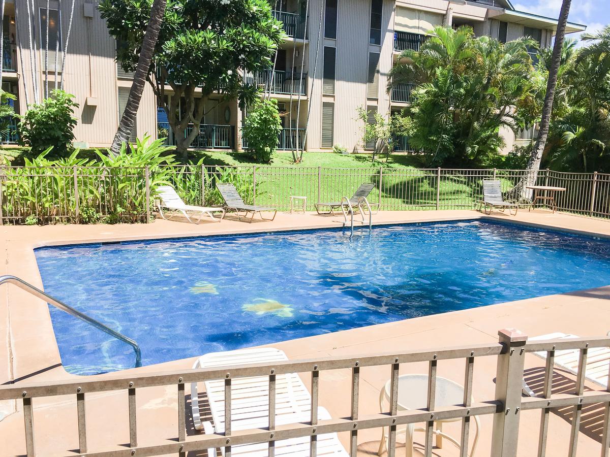 35 Walaka Street Condo Unit P207 Condo - thumb 6