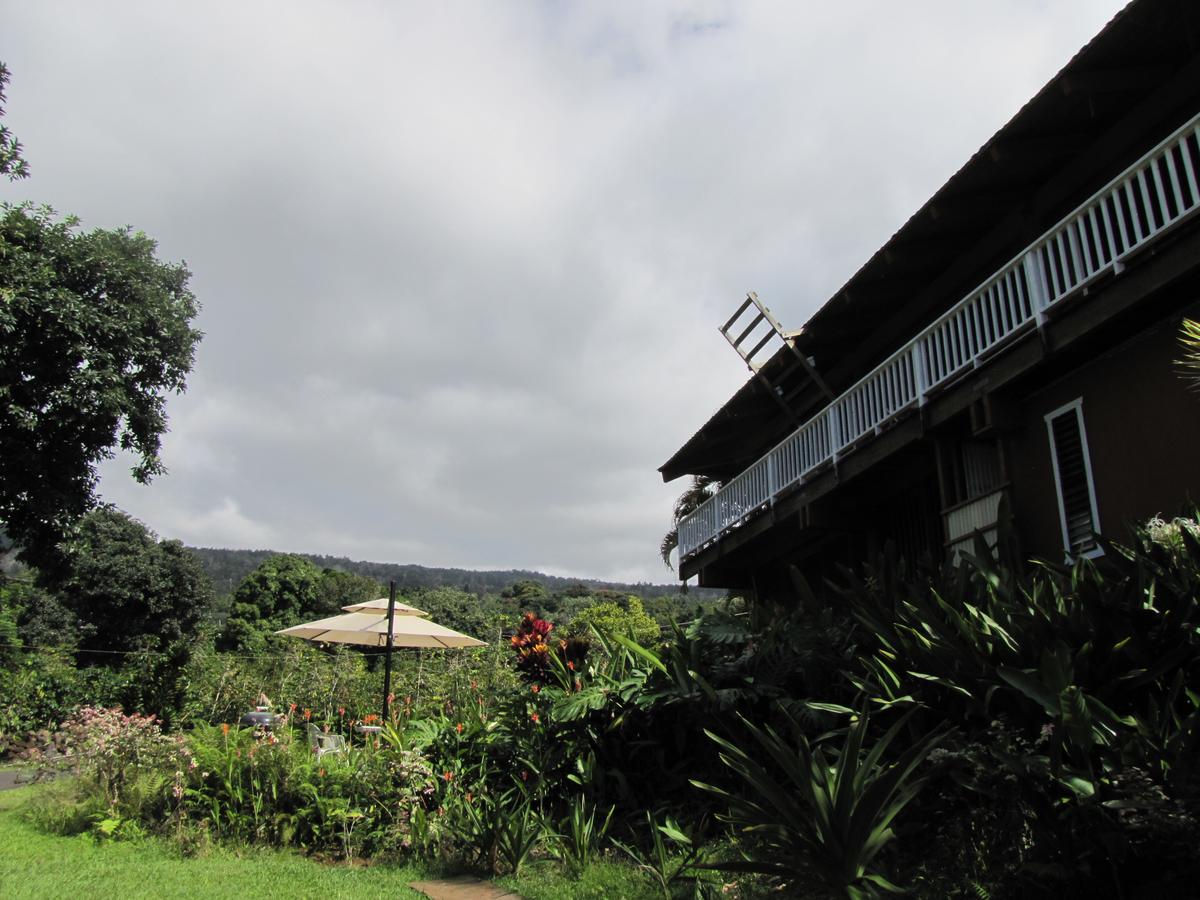 Hawaii Belt Coffee Garden - thumb 18