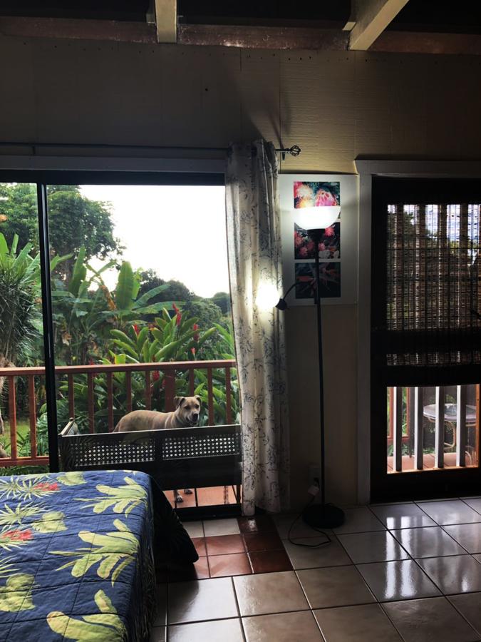 Hawaii Belt Coffee Garden - thumb 9