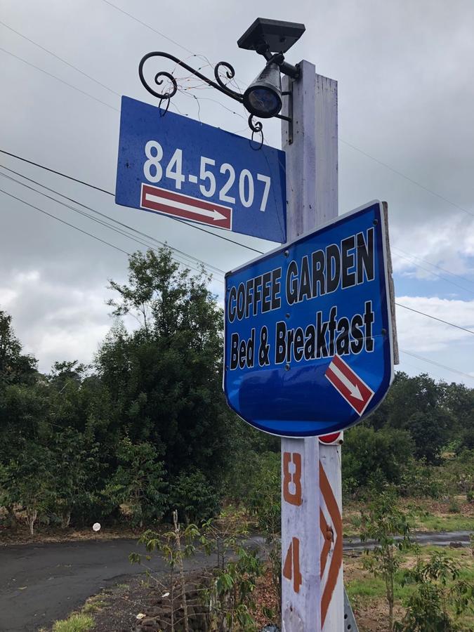 Hawaii Belt Coffee Garden - thumb 2