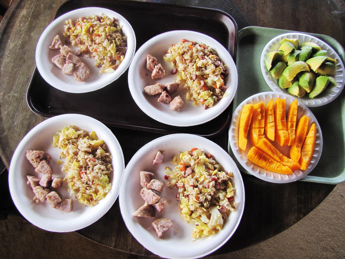 Hawaii Belt Coffee Garden - thumb 36