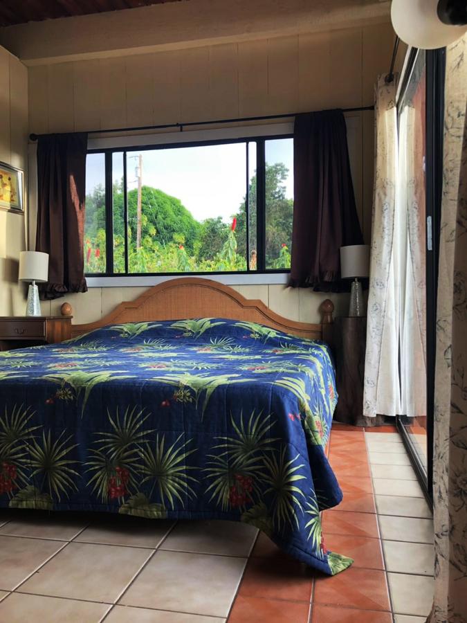 Hawaii Belt Coffee Garden - thumb 17