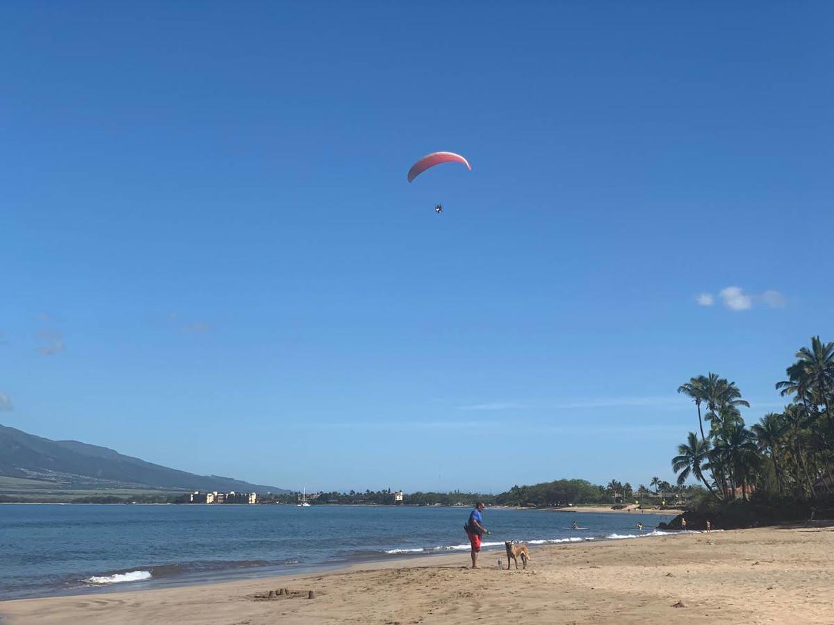 679 South Kihei Road - thumb 17