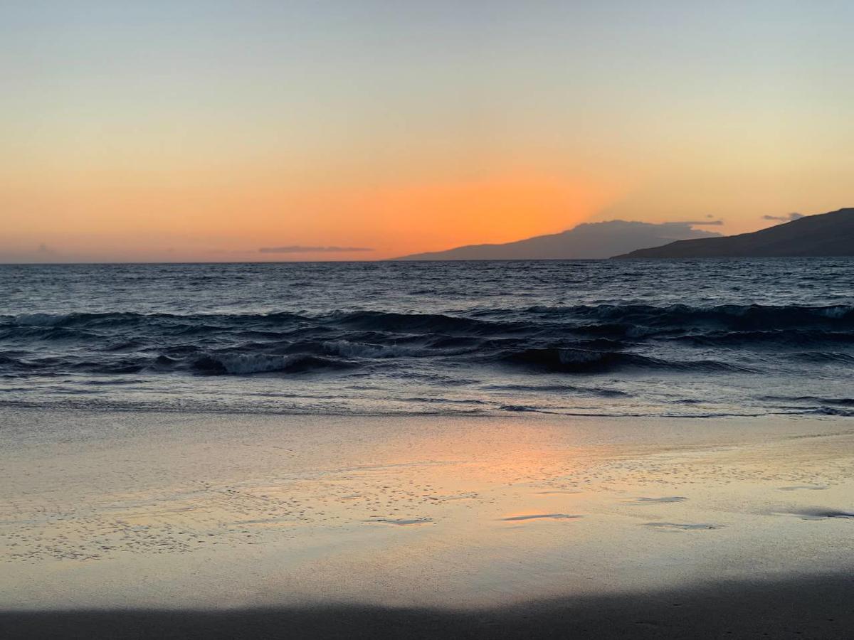 679 South Kihei Road - thumb 16