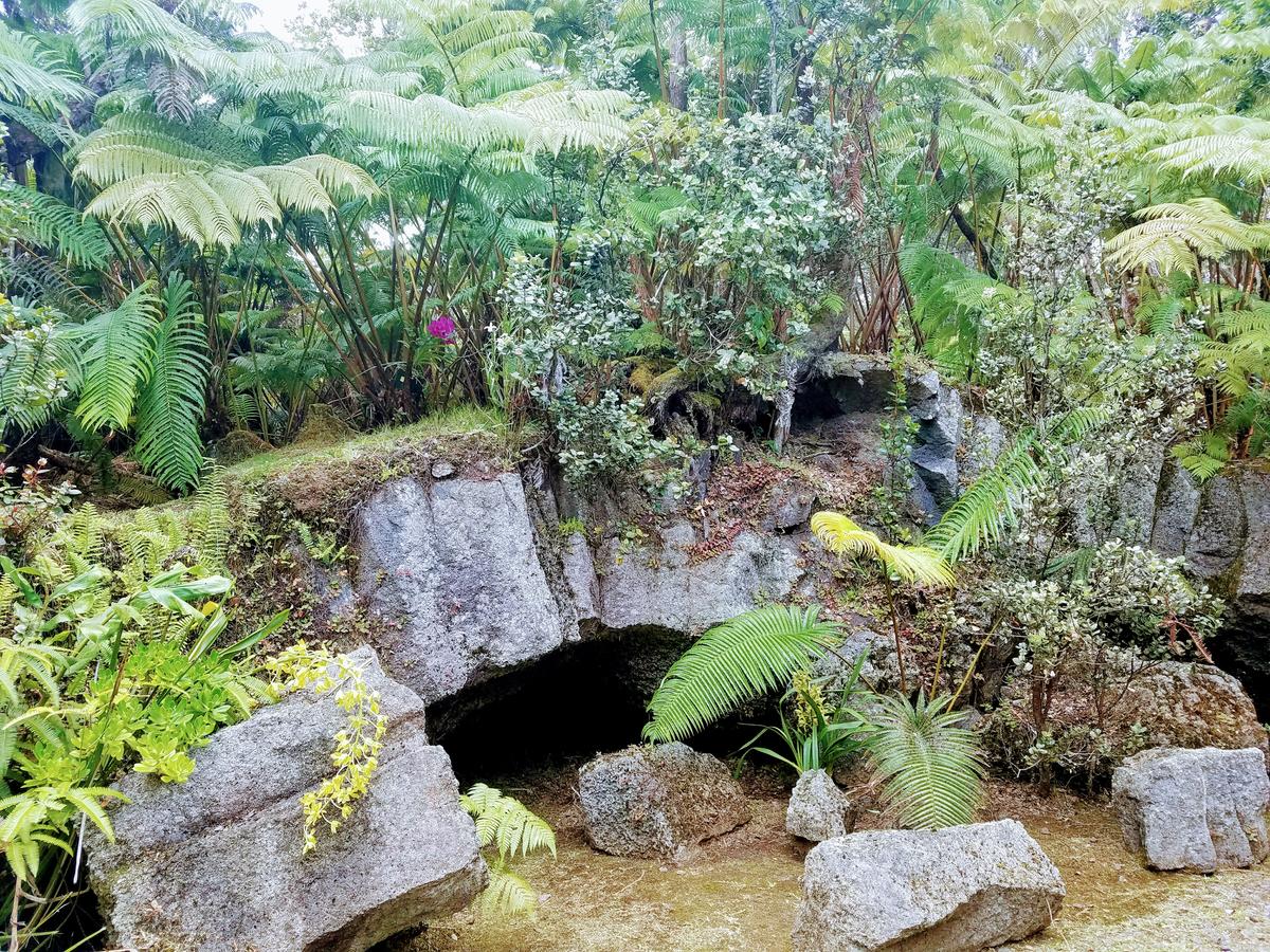 'Ama'u Lani Cottage - thumb 18