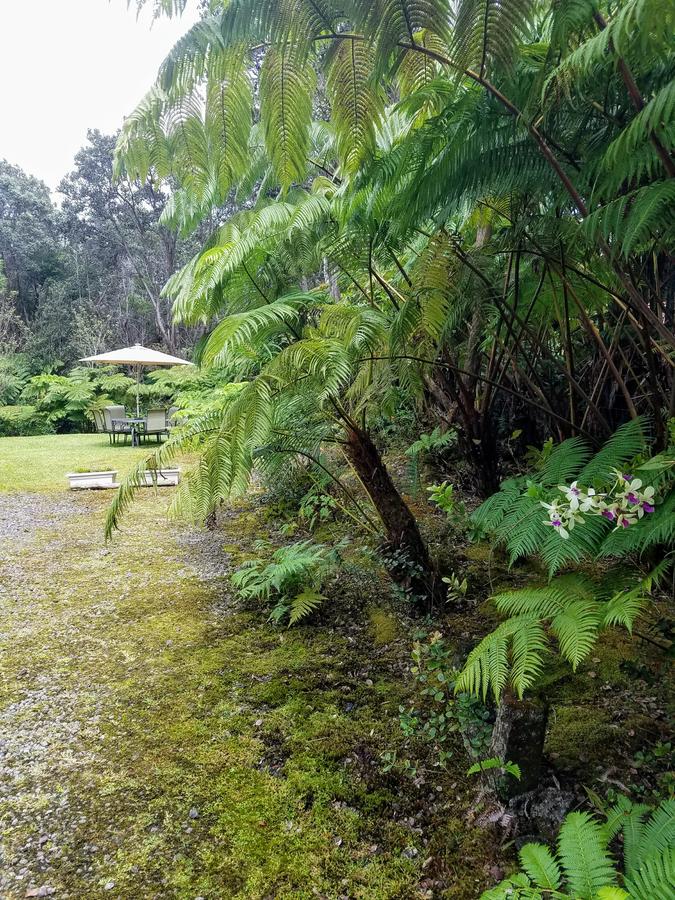 'Ama'u Lani Cottage - thumb 17