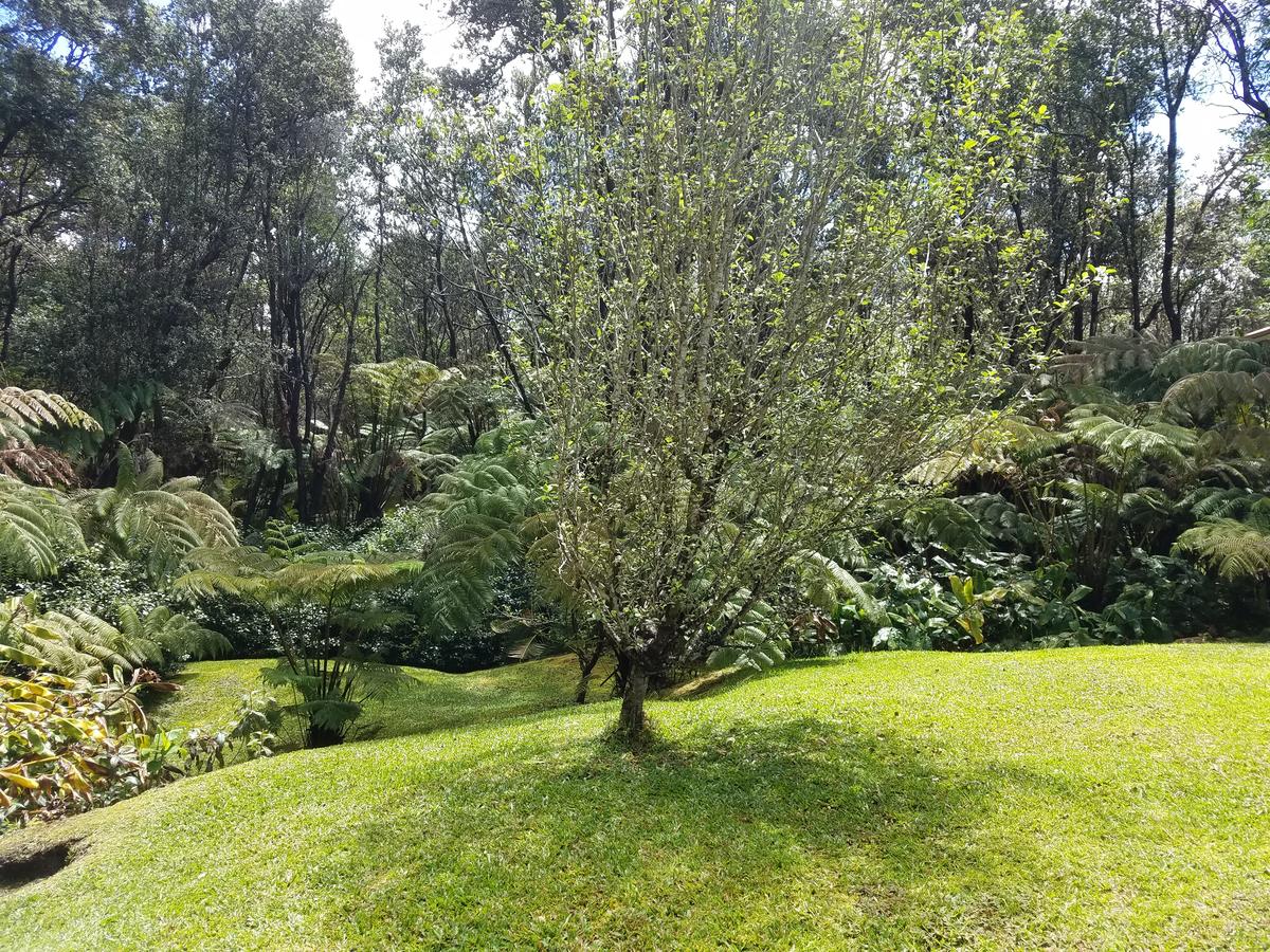 'Ama'u Lani Cottage - thumb 21