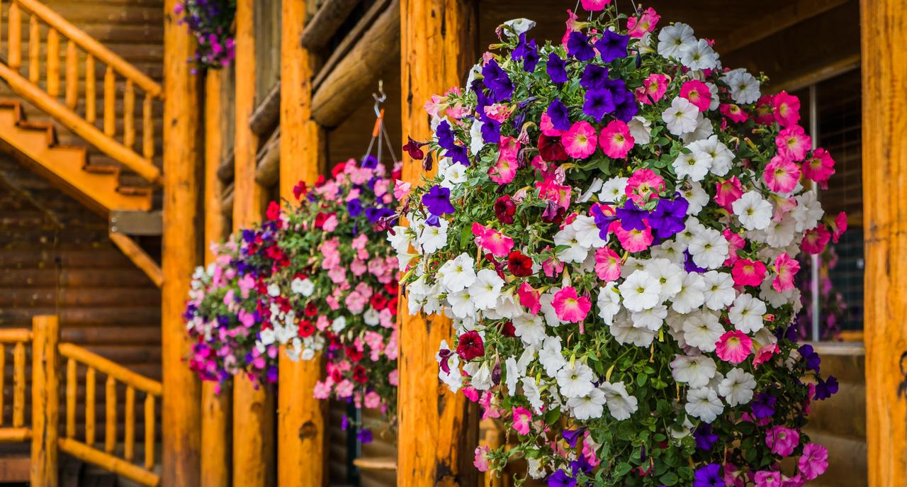 River Lodge - thumb 10