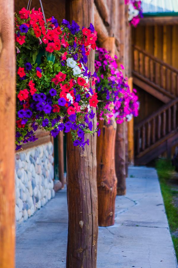 River Lodge - thumb 40