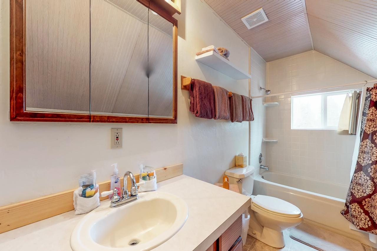 Forest Lake Cabin - thumb 19