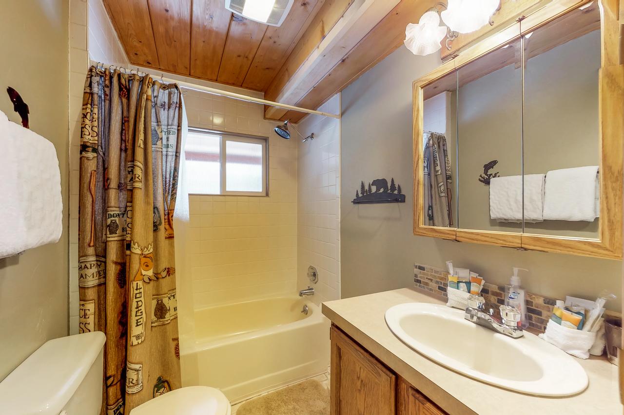 Forest Lake Cabin - thumb 12