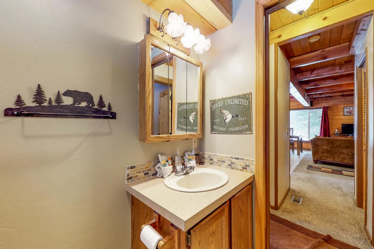 Forest Lake Cabin - thumb 29