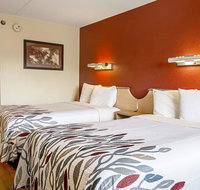 Red Roof Inn Rockford - Tourism Bookings