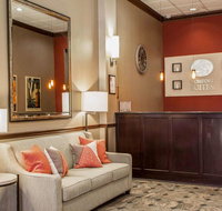 Comfort Suites Michigan Avenue - USA Accommodation