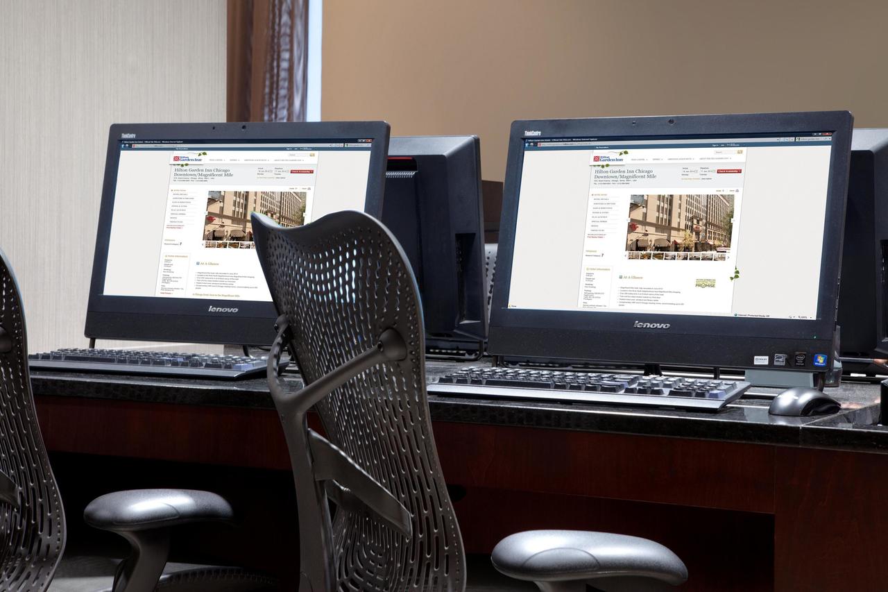 Hilton Garden Inn Chicago Downtown/Magnificent Mile - thumb 11