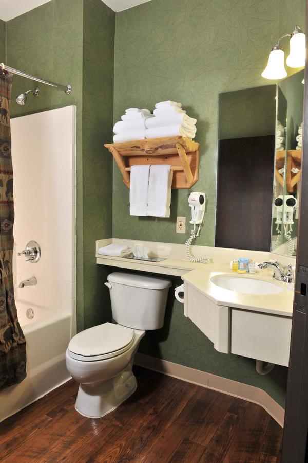 Stoney Creek Hotel & Conference Center - Moline - thumb 14