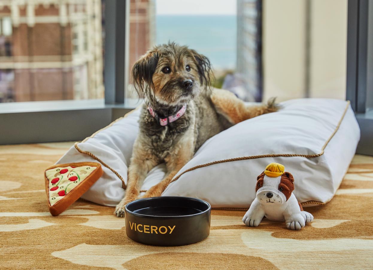 Viceroy Chicago - thumb 39