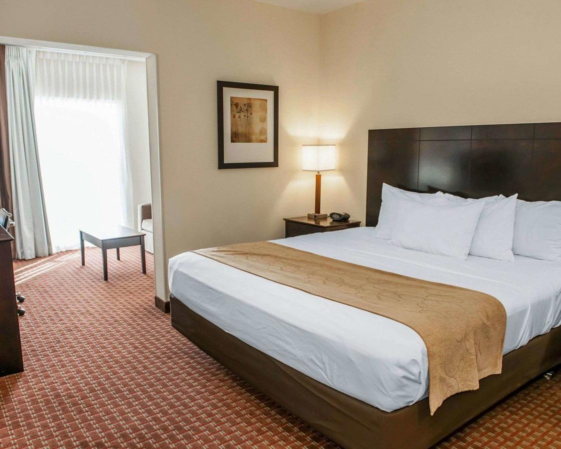 Comfort Suites South - thumb 5