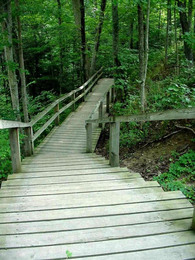 Turkey Run Inn & Cabins - thumb 27