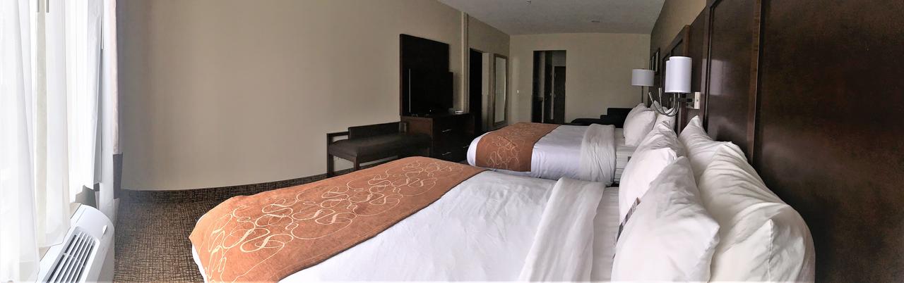 Comfort Suites Auburn - thumb 25