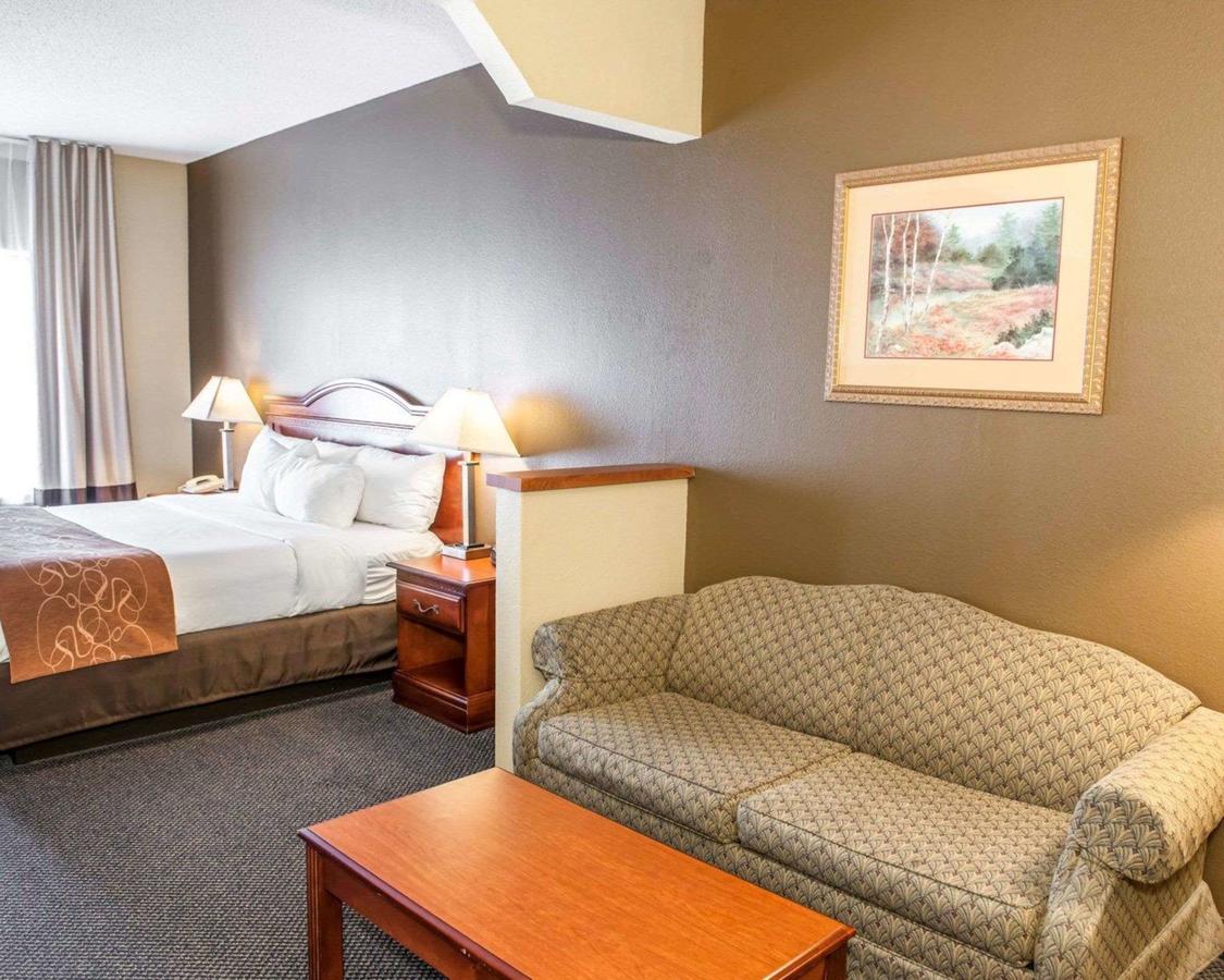 Comfort Suites Auburn - thumb 41