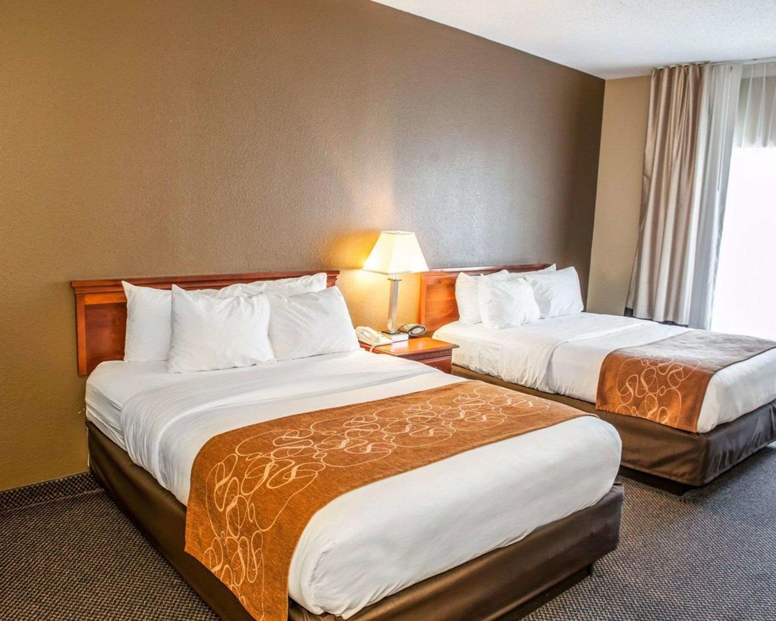 Comfort Suites Auburn - thumb 35
