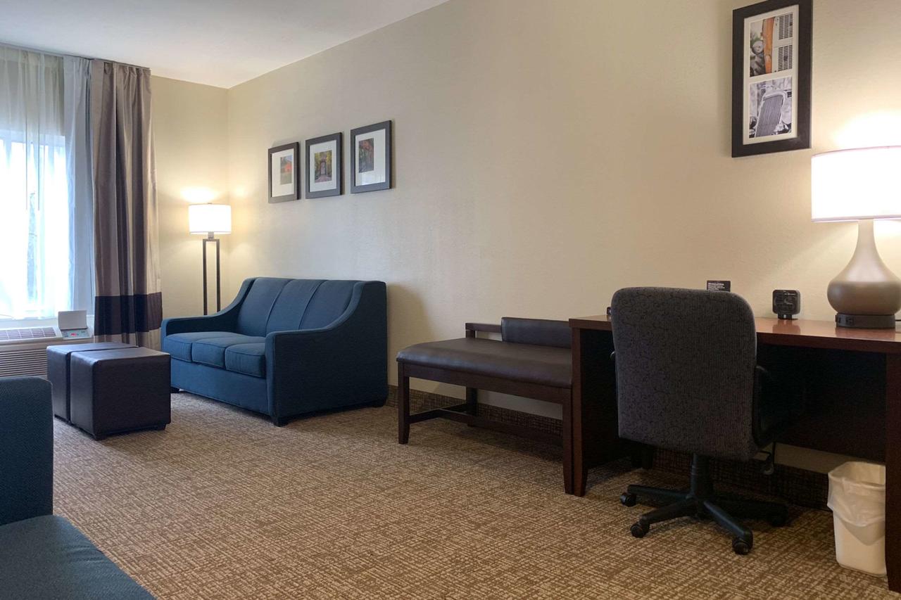 Comfort Suites Auburn - thumb 28