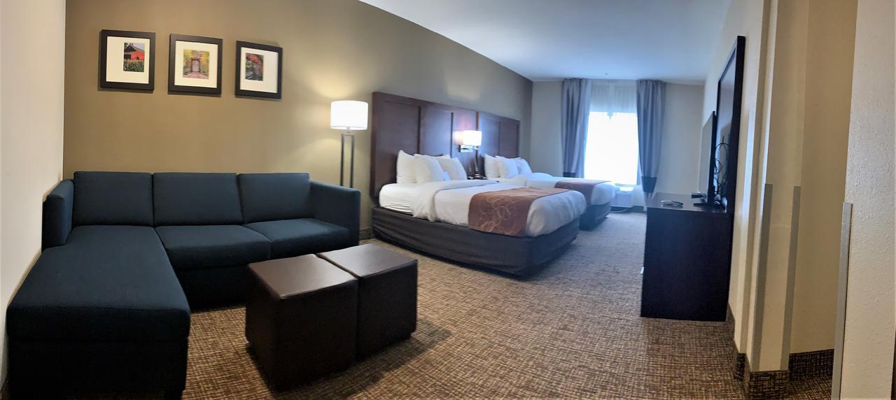 Comfort Suites Auburn - thumb 23