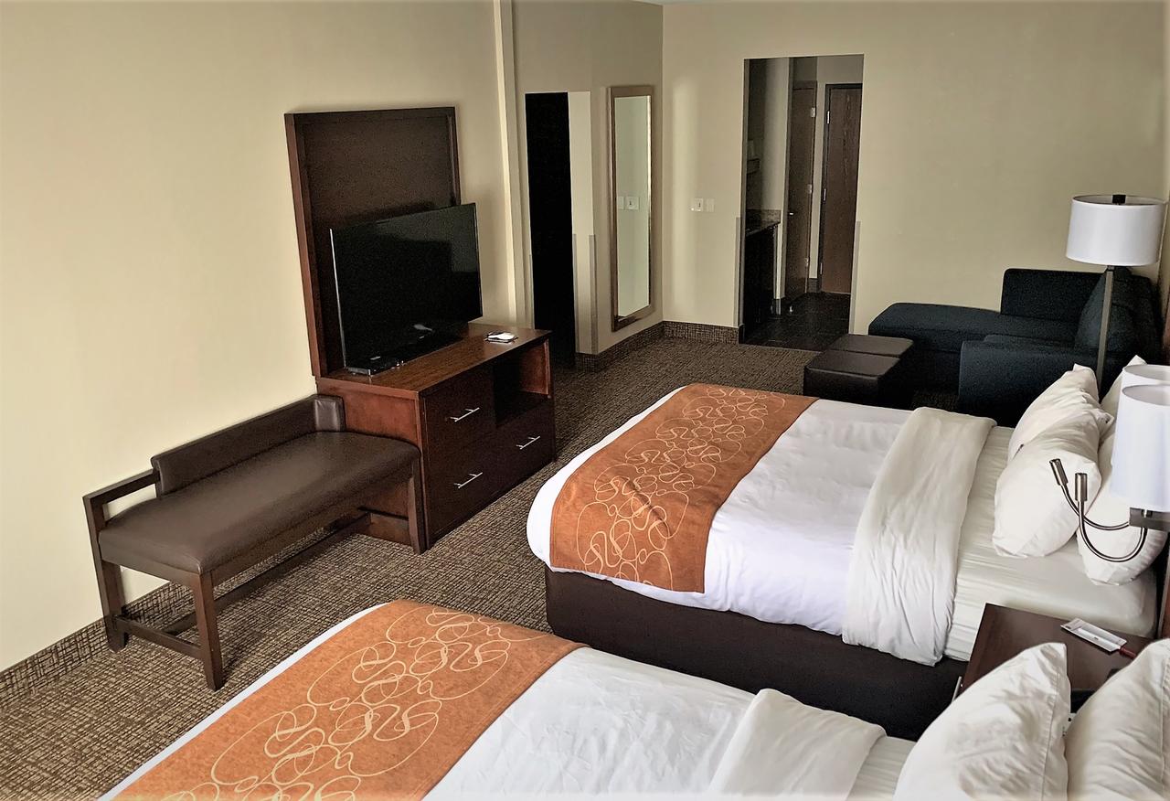 Comfort Suites Auburn - thumb 20