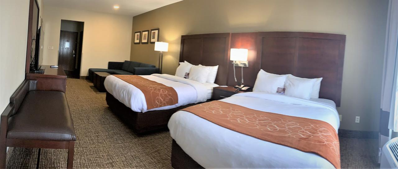 Comfort Suites Auburn - thumb 24