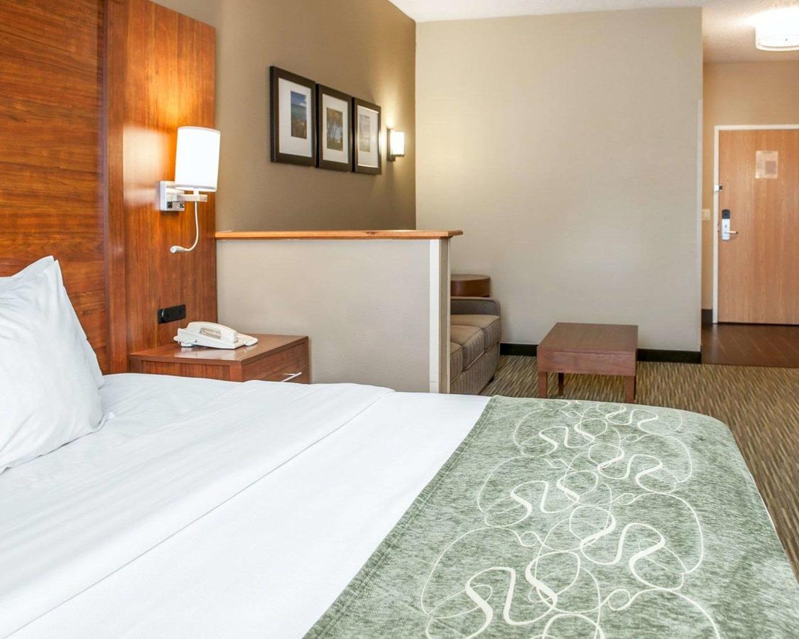 Comfort Suites North Elkhart - thumb 37