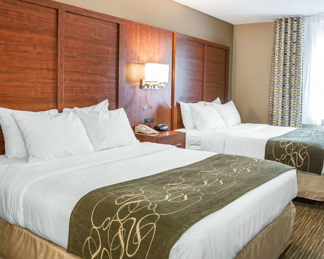 Comfort Suites North Elkhart - thumb 35