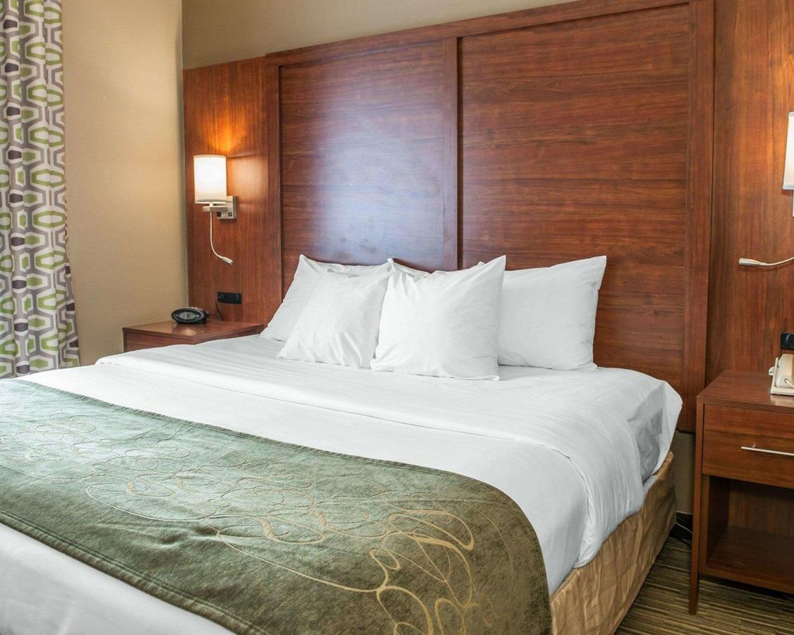 Comfort Suites North Elkhart - thumb 12