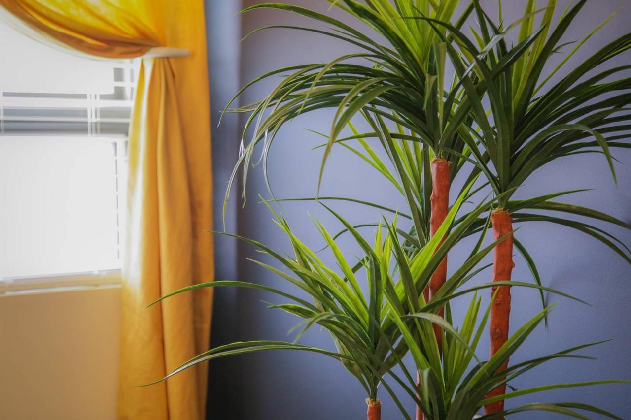 URBAN DECO 1BR APT IN HISTORIC LOCKERBIE DISTRICT - thumb 44