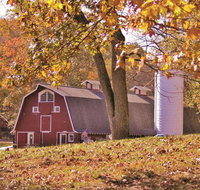 Wilstem Cabins - Tourism Bookings