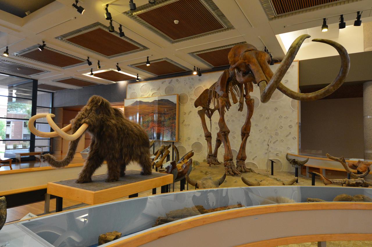 Staybridge Suites Des Moines Downtown - thumb 22