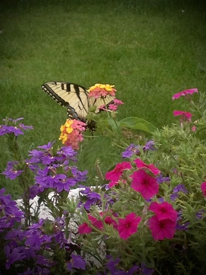 The Heritage Inn - thumb 10