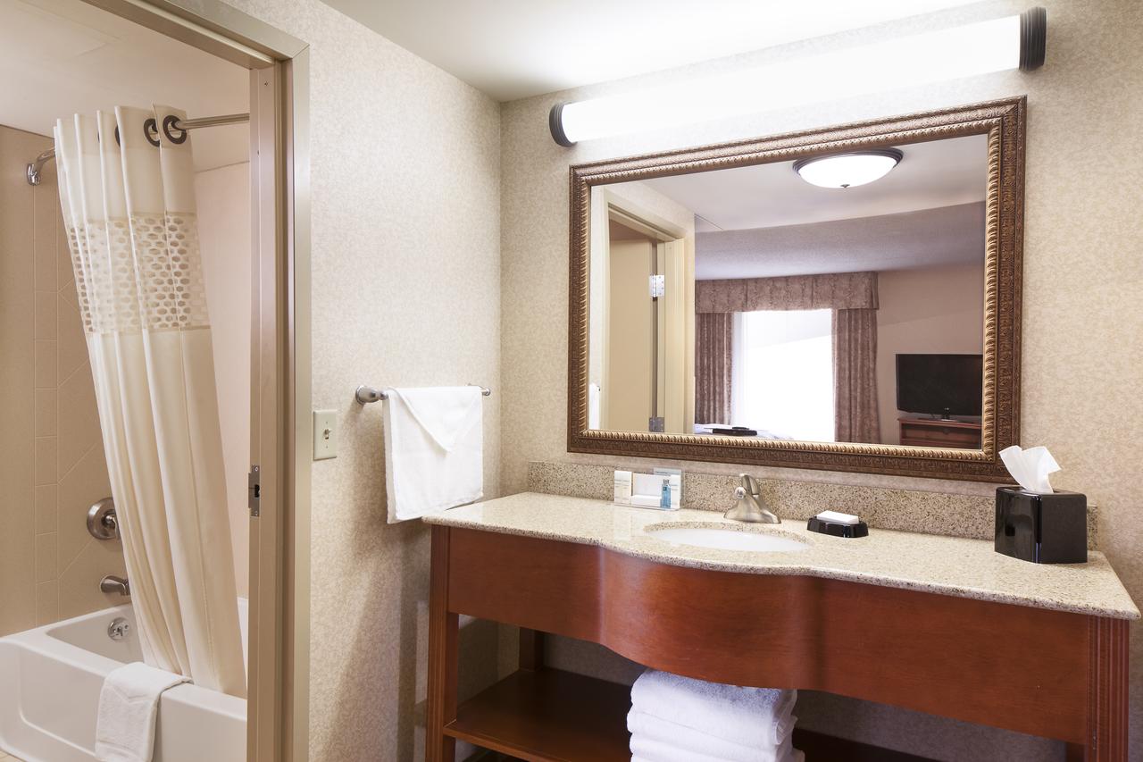 Hampton Inn Dubuque - thumb 26