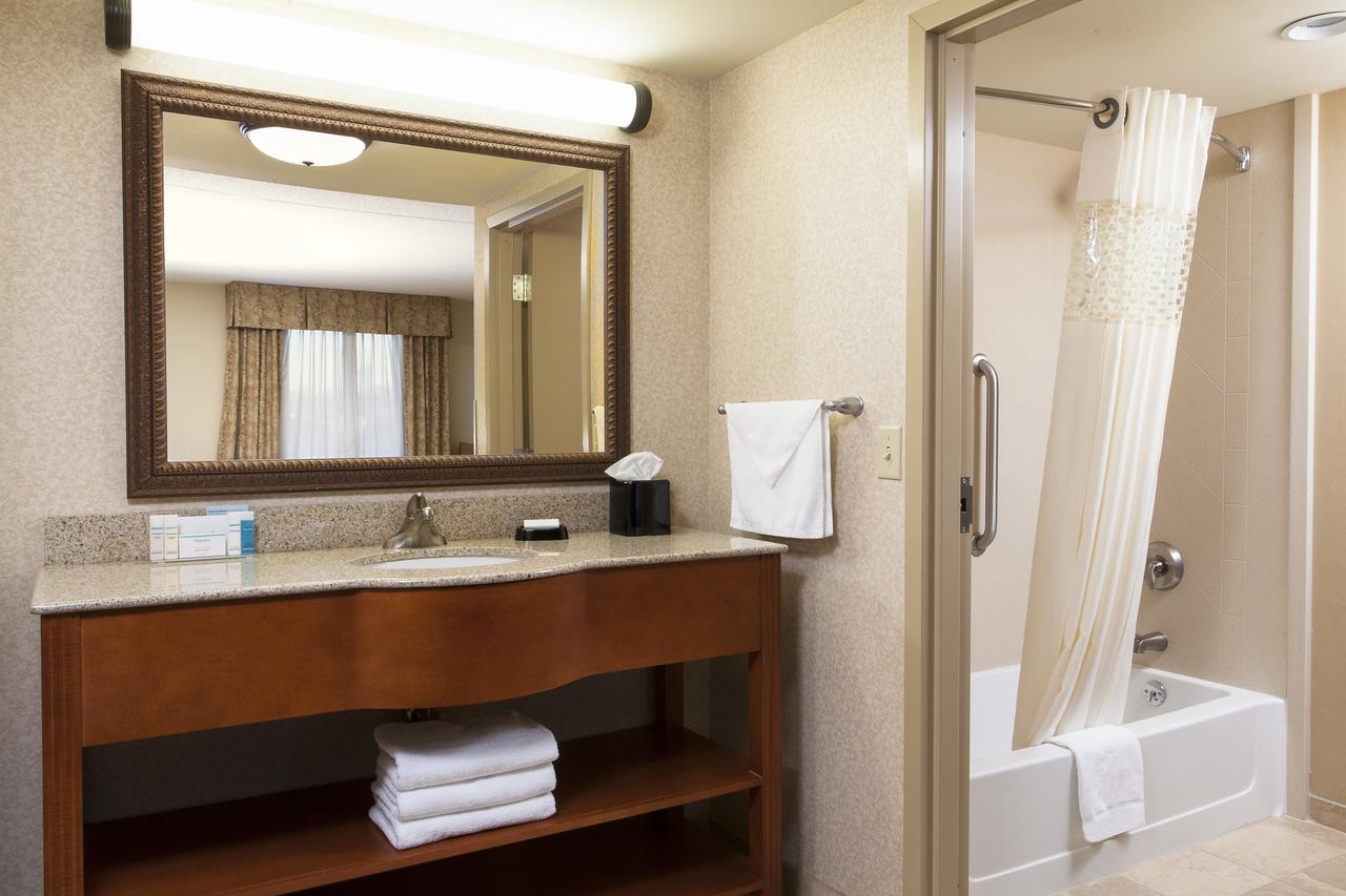 Hampton Inn Dubuque - thumb 19