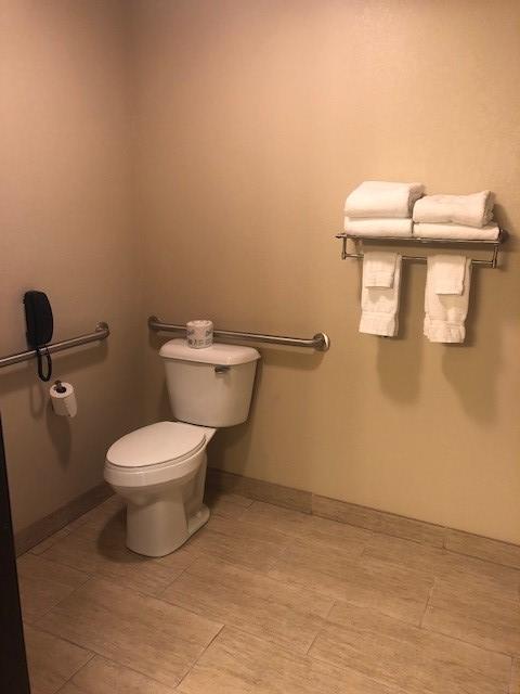 Cobblestone Inn & Suites - Fort Dodge - thumb 3