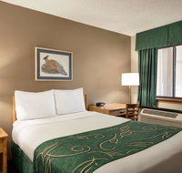 Travelodge by Wyndham Wellington - Tourism Bookings