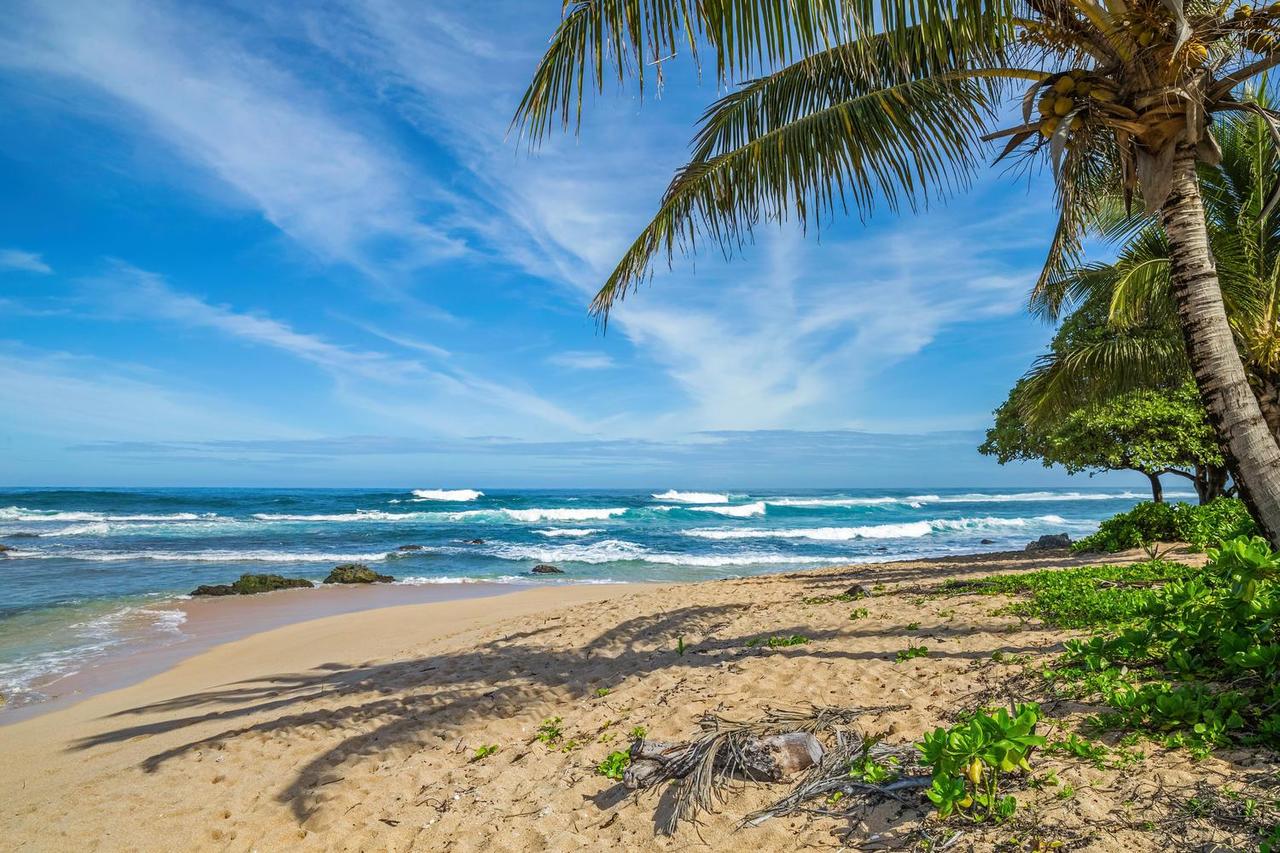 Hale Pulelehua TVNC#1238 - thumb 8