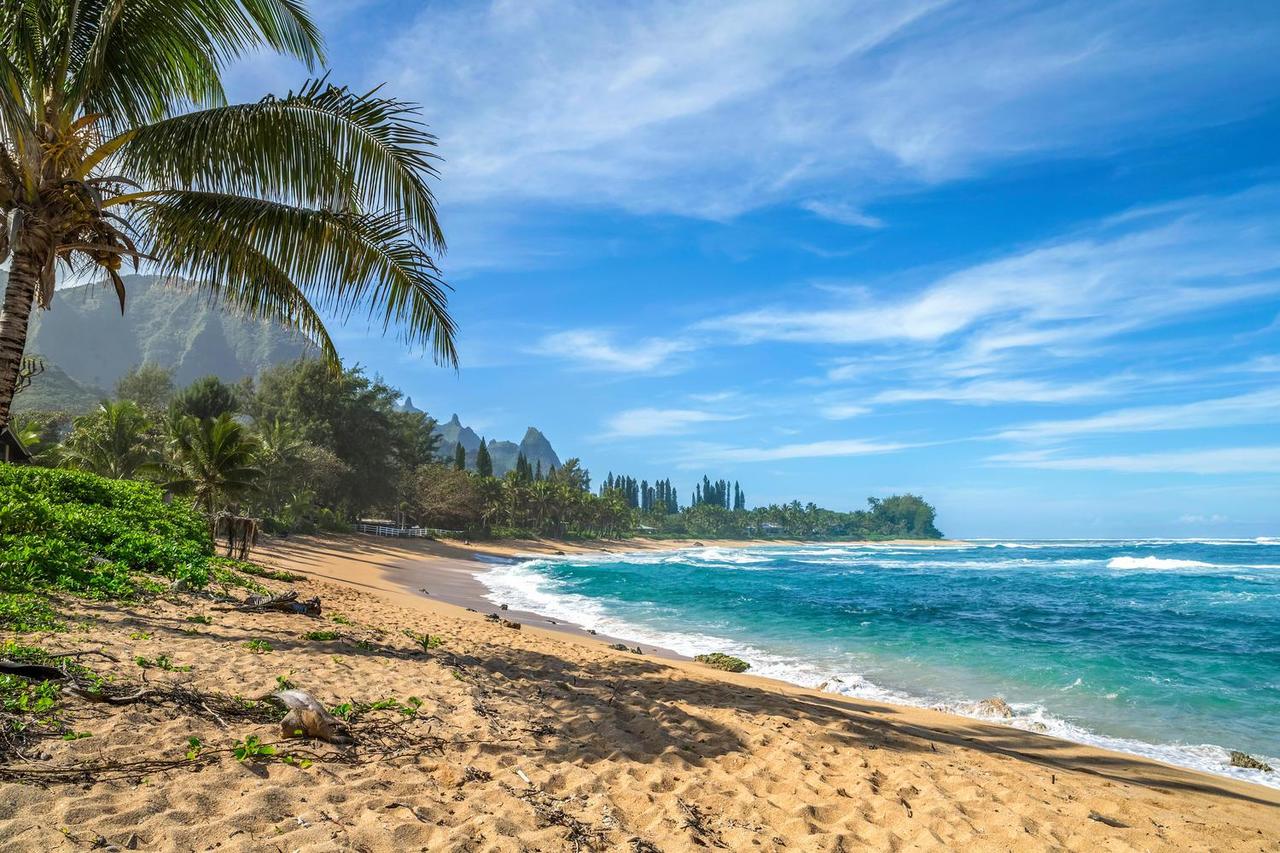 Hale Pulelehua TVNC#1238 - thumb 19