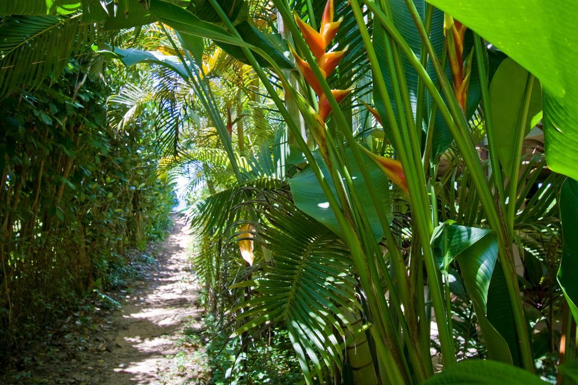 Hale Pulelehua TVNC#1238 - thumb 14