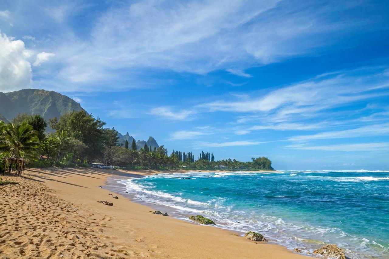 Hale Pulelehua TVNC#1238 - thumb 20