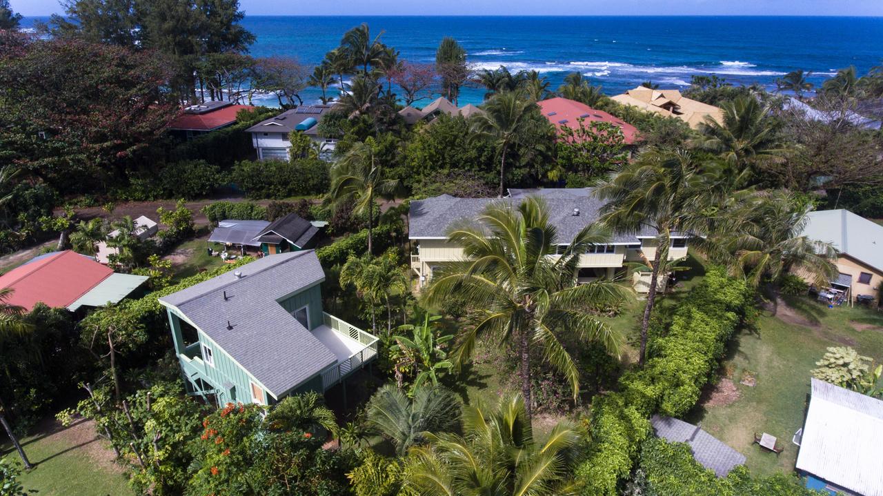 Hale Pulelehua TVNC#1238 - thumb 12