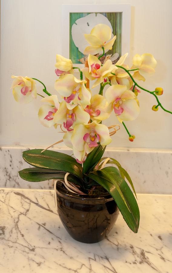 Alii Kai 5301 Condo - thumb 27